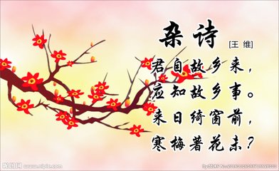 雜詩