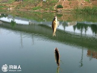 和仲嚴(yán)弟暮春二絕