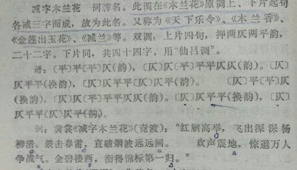 減字木蘭花（得書）