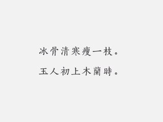 浣溪沙·題李中齋舟中梅屏