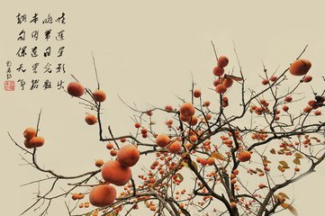 詠紅柿子