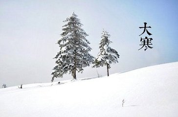 元次山居武昌之樊山，新春大雪，以詩問之