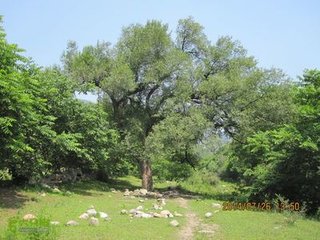 題馀不溪廢寺