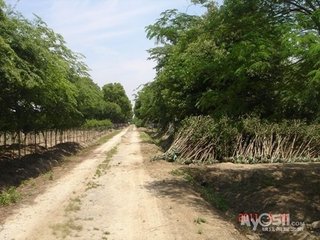 崔駙馬山池重送宇文明府（得苗字）