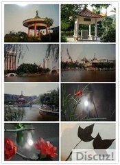 久雨杜門遣懷