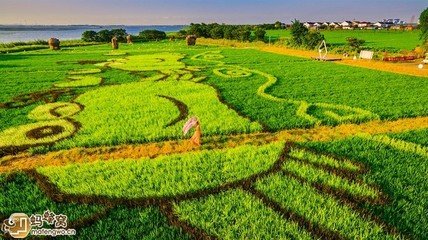 山村獨(dú)酌