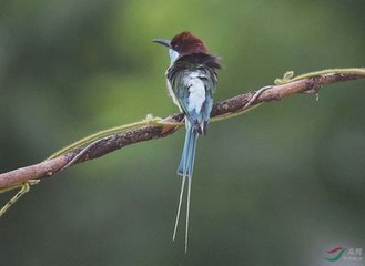 山雨