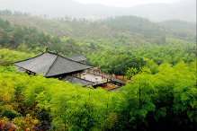 喜義興權(quán)明府自君山至，集陸處士羽青塘別業(yè)