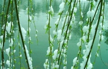 雨晴風(fēng)日絕佳徙倚門外