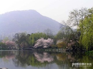 蝶戀花 曉至野亭