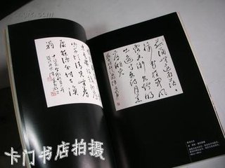 書西湖雷峰云講主草書