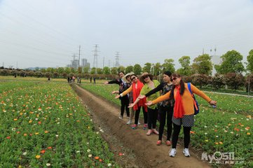 虞美人·杏花窗底人中酒