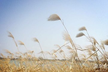 別長沙驛渡