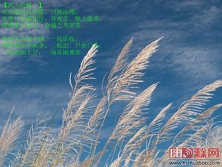 風(fēng)入松·霏霏小雨惱春光