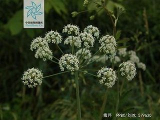 學(xué)山野燒異常登高泮宮如在火池中間泮師率諸