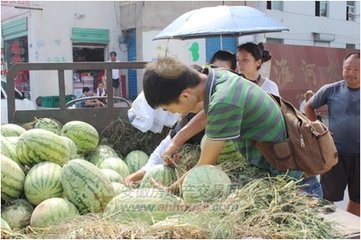 夏日送崔秀才游南