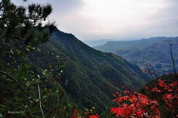 游雪竇杖錫七首·徐鳧巖