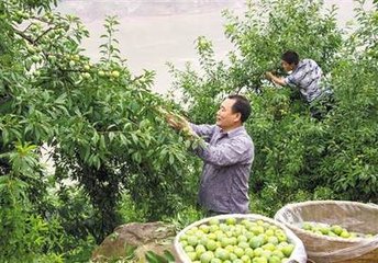 滿江紅·莽莽云平