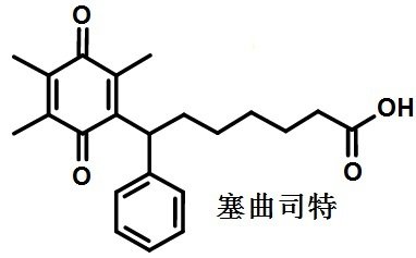 古塞曲