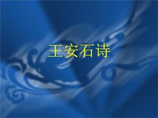 詠史下·王荊公