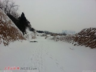 木蘭花（雪里）