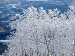 點(diǎn)絳唇（和張文伯除夜雪）