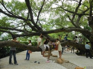 游惠陽西湖