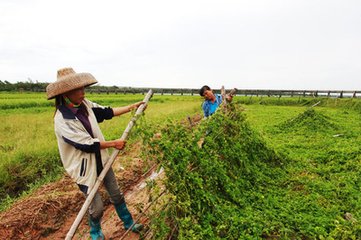 井竭