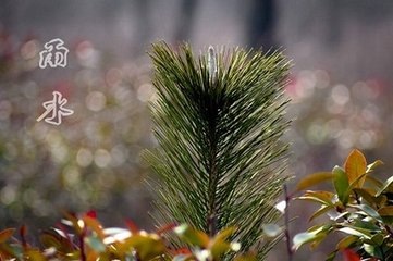 次韻陳帥干喜雨二首