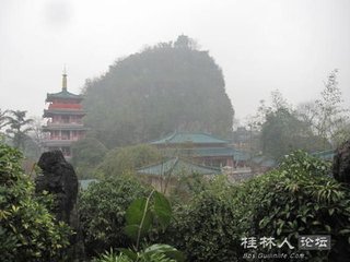 小雨看海棠