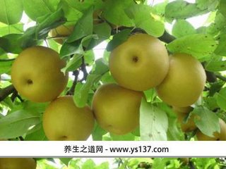 謝王公才惠資陽(yáng)梨二首