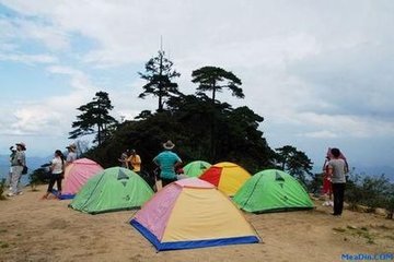 黃山上先家舊葬處