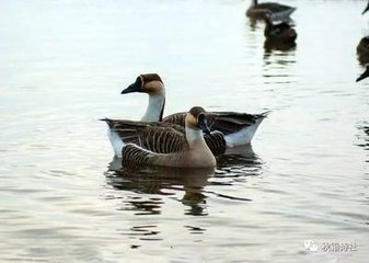 秋日餞陸道士陳文林