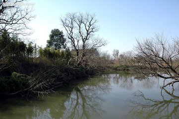 行朝早春侍師門宴西溪席上作