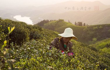 過申州