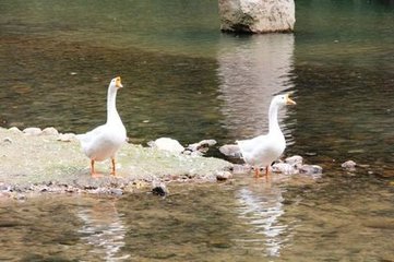 天臺石橋