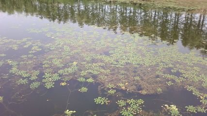 東湖臨泛餞王司馬