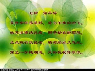 漢宮詞二首