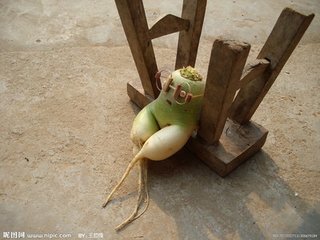 武陵春（正月七日，武都雪霽立春）