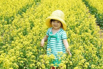 風入松（戲人去妾）