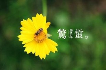 菩薩蠻·春愁一段來無影