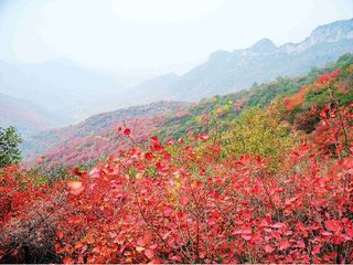 望嵩山