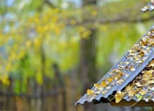 一剪梅（秋雨感悲）