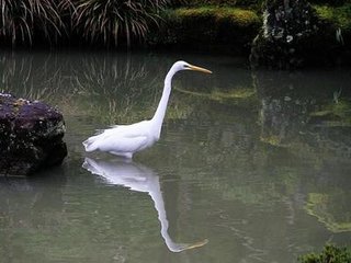 寄題方干處士