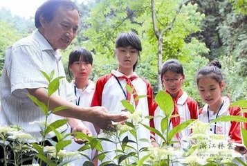 滿江紅（壽鄧法，六月八日生）