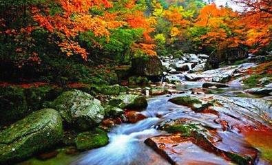 李侍御歸炭谷山居，同宿華嚴(yán)寺