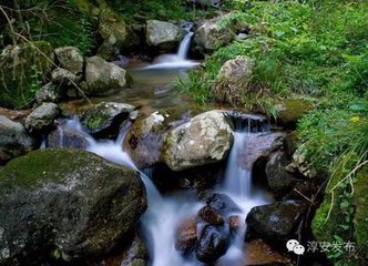 送進士陳峣往睦州謁馮郎中