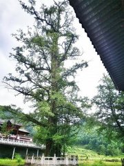 大雨宿仰山，翌旦驟霽，混融云"無乃開仰山