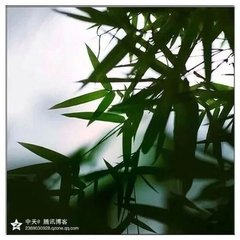 竹枝曲