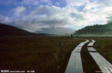 方鄭叔詳回得花滿盤作短詩(shī)以寄